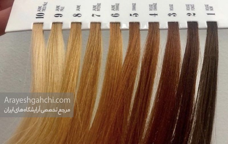 پایه های دکلره مو