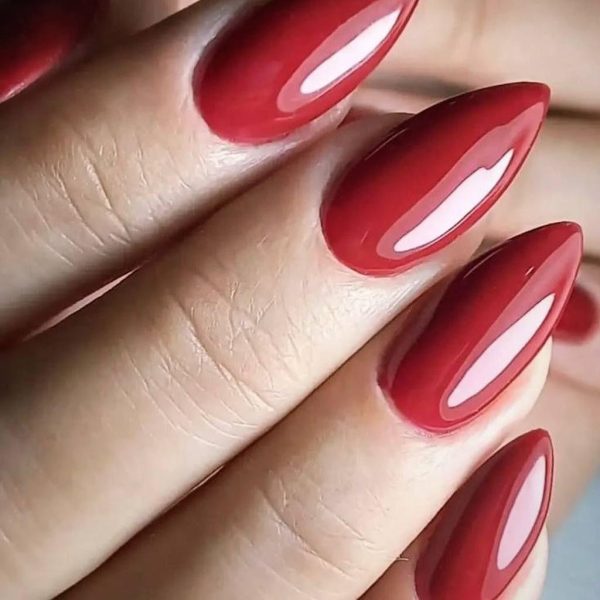 آرایشگاه زنانه سایه صالحی قیطریه تهران